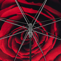 Elegance Ruže dámsky luxusný dáždnik s potlačou kvetu ruže